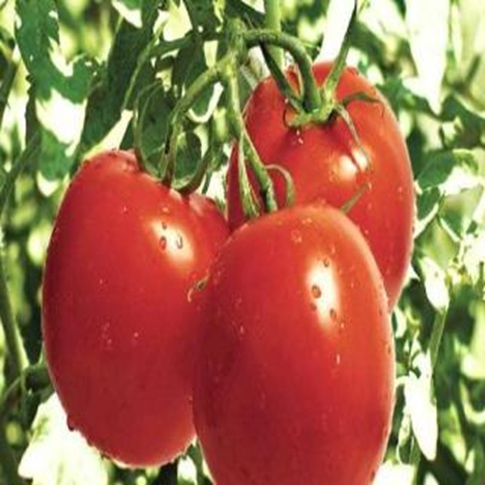 Ripeness Example